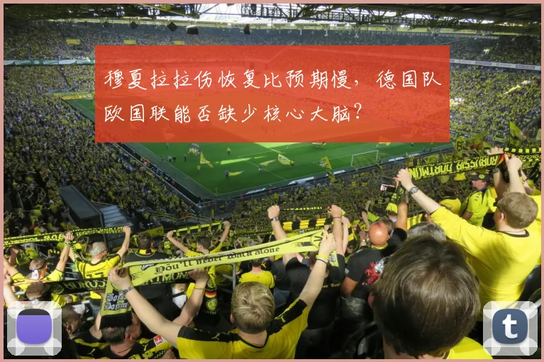 穆夏拉拉伤恢复比预期慢，德国队欧国联能否缺少核心大脑？