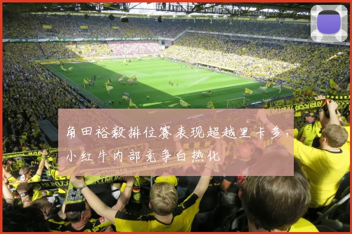 角田裕毅排位赛表现超越里卡多，小红牛内部竞争白热化